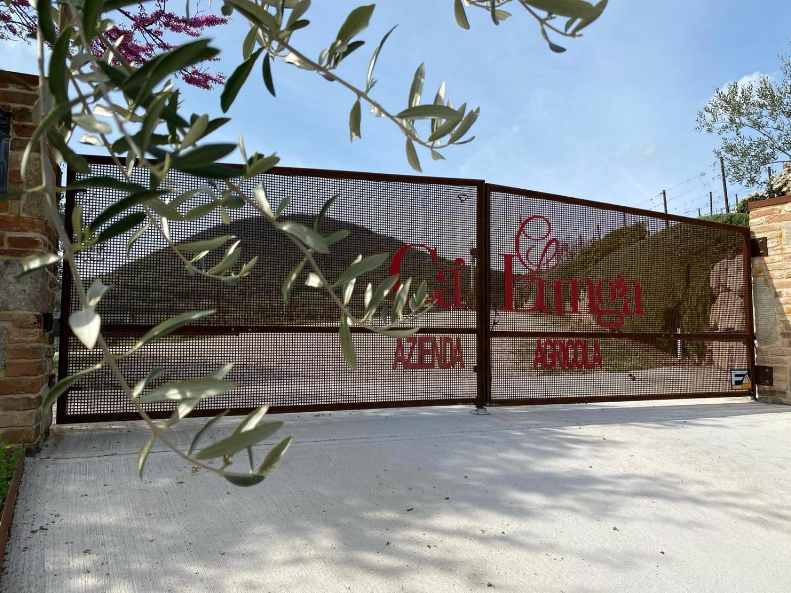 Azienda Agricola Ca' Lunga Cinto Euganeo Exteriör bild